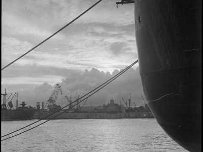 La maggior parte delle foto ritraggono per� il porto di Bari. I militari appena giunti in citt� occuparono da subito il porto, infrastruttura di fondamentale importanza strategica per il suo ruolo di scalo mercantile e per la sua posizione chiave da un punto di vista geografico

(F. Alexander Turnbull Library, Welligton, NZ. Ref. DA-04501-F)